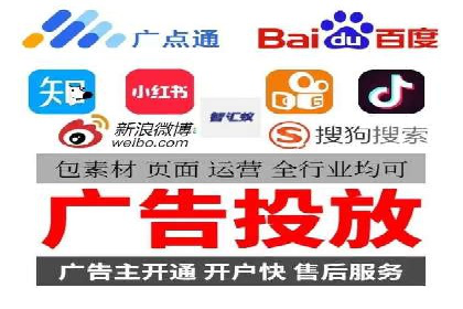 成功运用SEM技术提升网站流量的案例研究